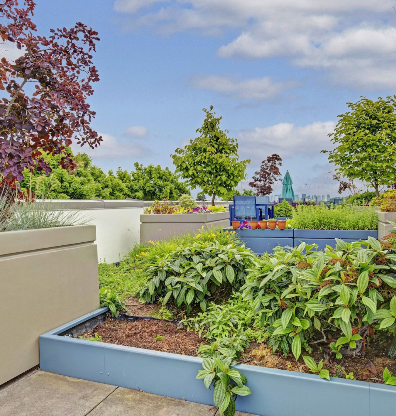 a courtyard with trees and plants