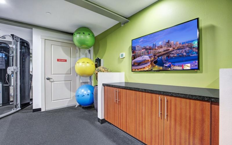 a room with yoga balls and a tv
